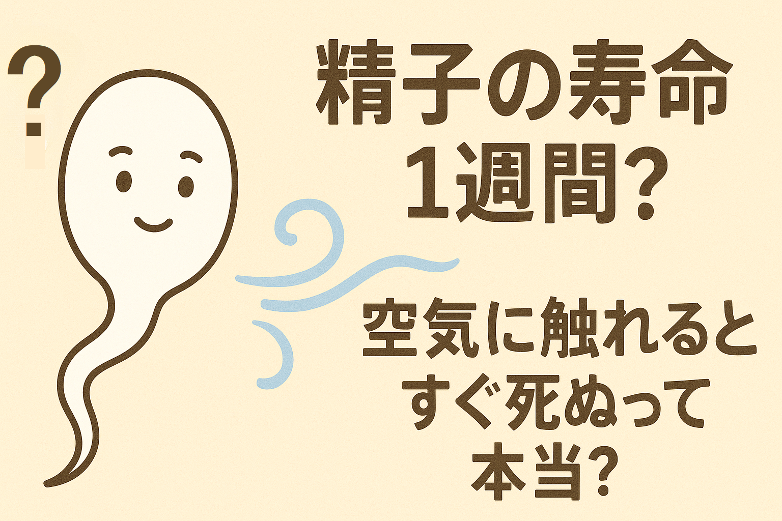 精子の寿命は1週間?空気に触れるとすぐ死ぬって本当?