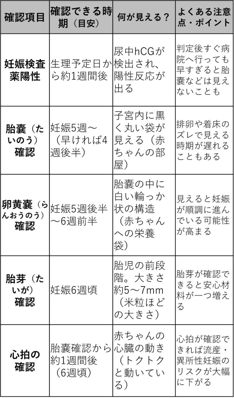【卵黄嚢】いつから見える? 見えたら安心? | 大阪府豊中市の不妊鍼灸なら、ぽん鍼灸院
