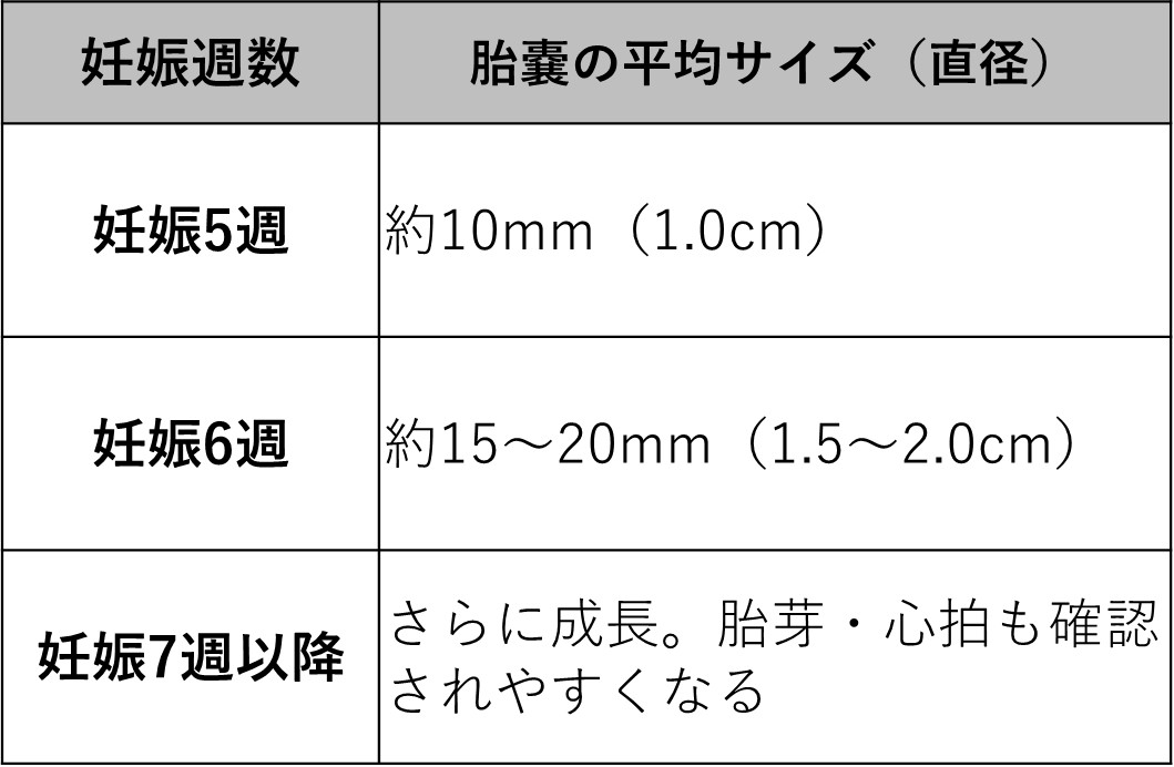 妊娠初期における胎嚢の平均サイズ