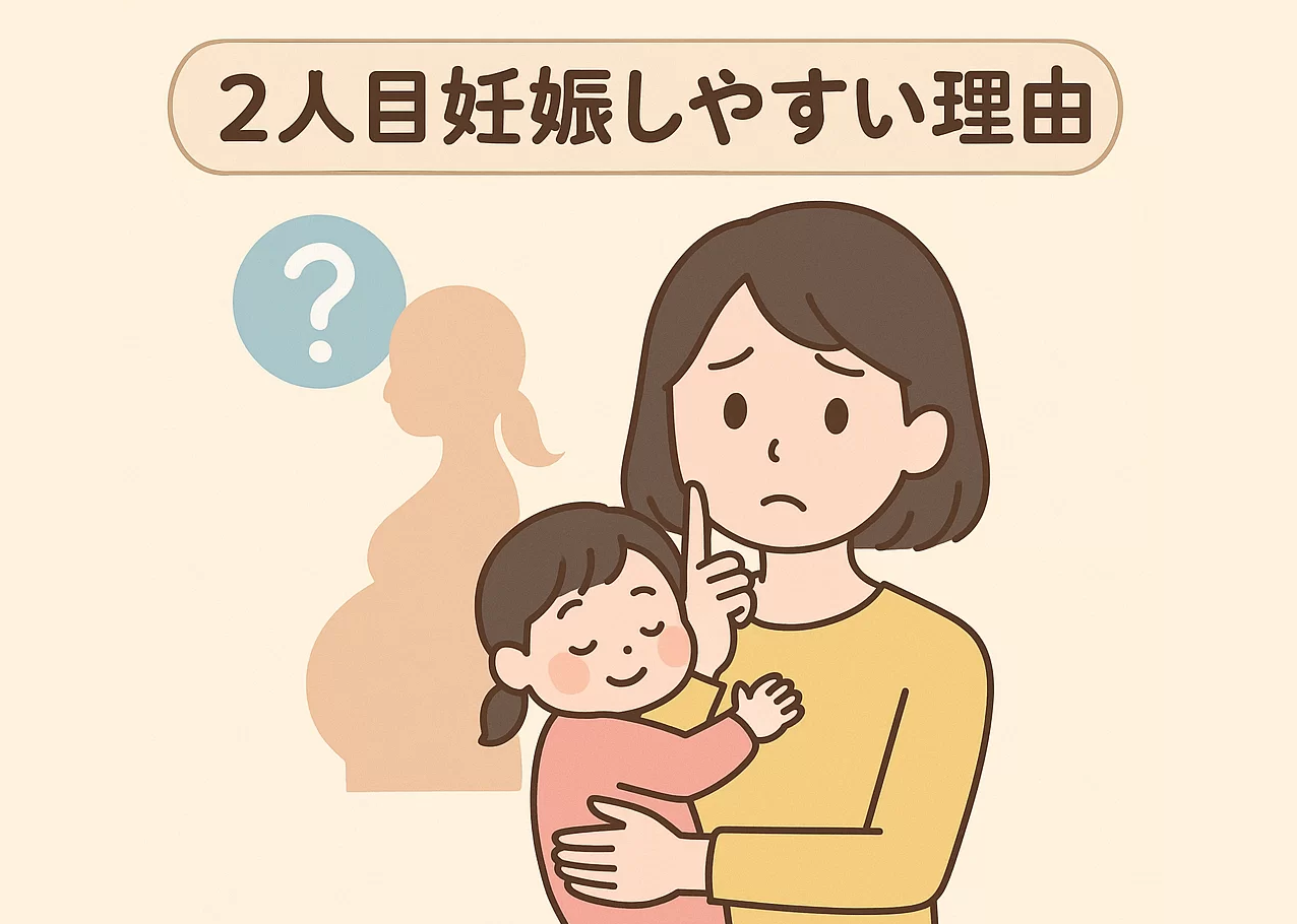 2人目妊娠しやすい理由(なぜ経産婦は妊娠しやすいの?)