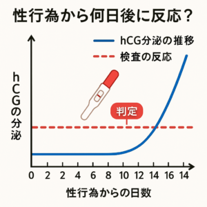 妊娠検査薬【性交から何日で反応】いつから？ | 大阪府豊中市の不妊鍼灸なら、ぽん鍼灸院