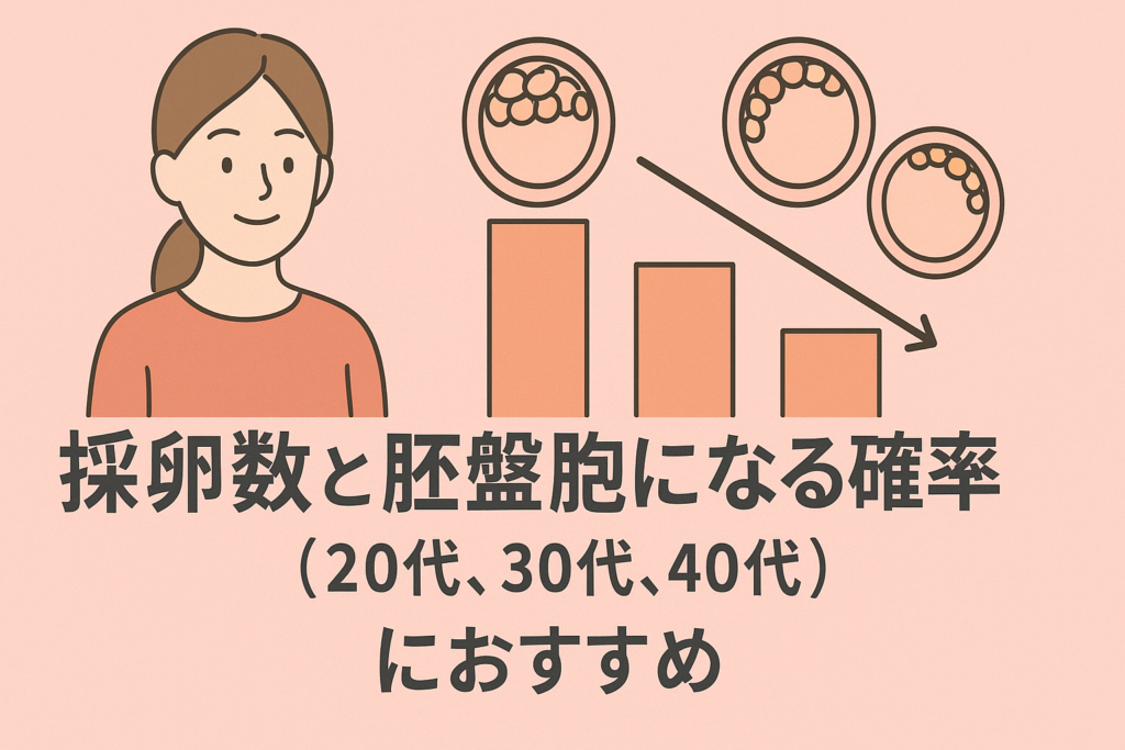 採卵数と胚盤胞になる確率(20代、30代、40代)