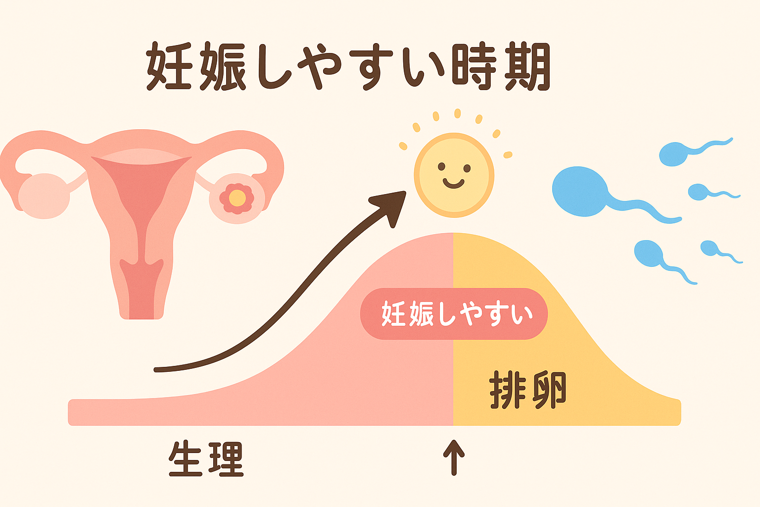 排卵出血中の性行為って、妊娠しやすい?しにくい?