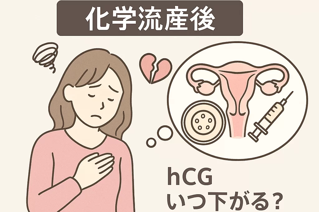 化学流産後【胚移植(採卵)】いつからできる? hcg いつ下がる?